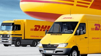 國際物流行業標桿企業dhl選擇mchr