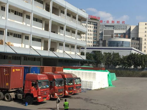 力天國(guó)際物流給您拜年啦 感謝社會(huì)各界領(lǐng)導(dǎo) 客戶(hù)及朋友們的厚愛(ài)與支持,堅(jiān)持物流產(chǎn)品經(jīng)營(yíng)理念繼續(xù)前行