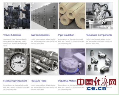 巴基斯坦閥門制造業的生存困境 國際物流成本飆升十倍，原材料價格劇烈波動