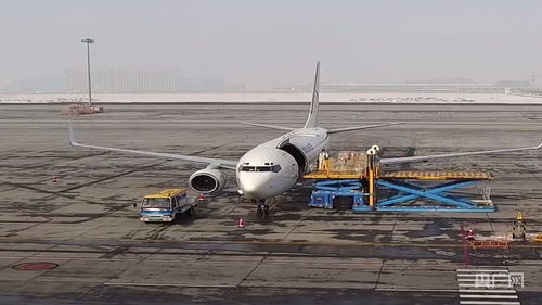 新疆國際貨運包機業務全面恢復，為國際物流注入新動能
